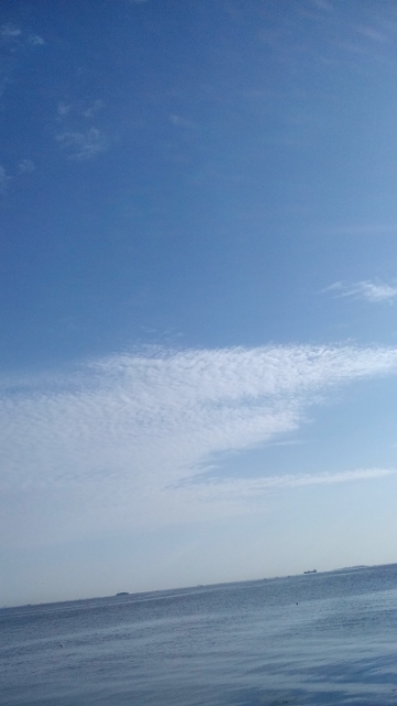 20200515150449102.jpg