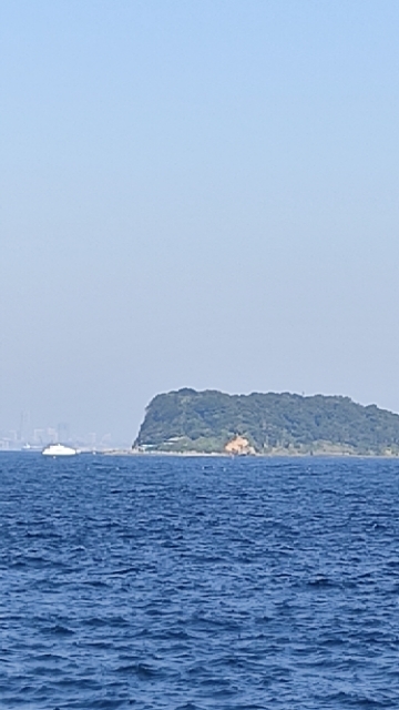 20201029162641008.jpg